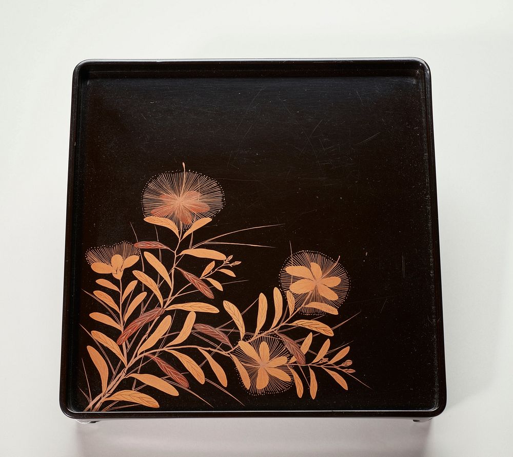 Black lacquer tray; plant with oblong leaves and delicate flowers with starburst petals lower corner. Original from the…