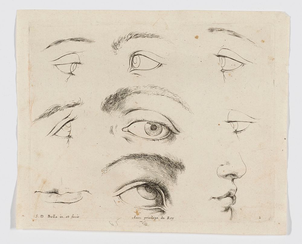 seven eyes; mouth in LLC; mouth and nose, LRC. Original from the Minneapolis Institute of Art.