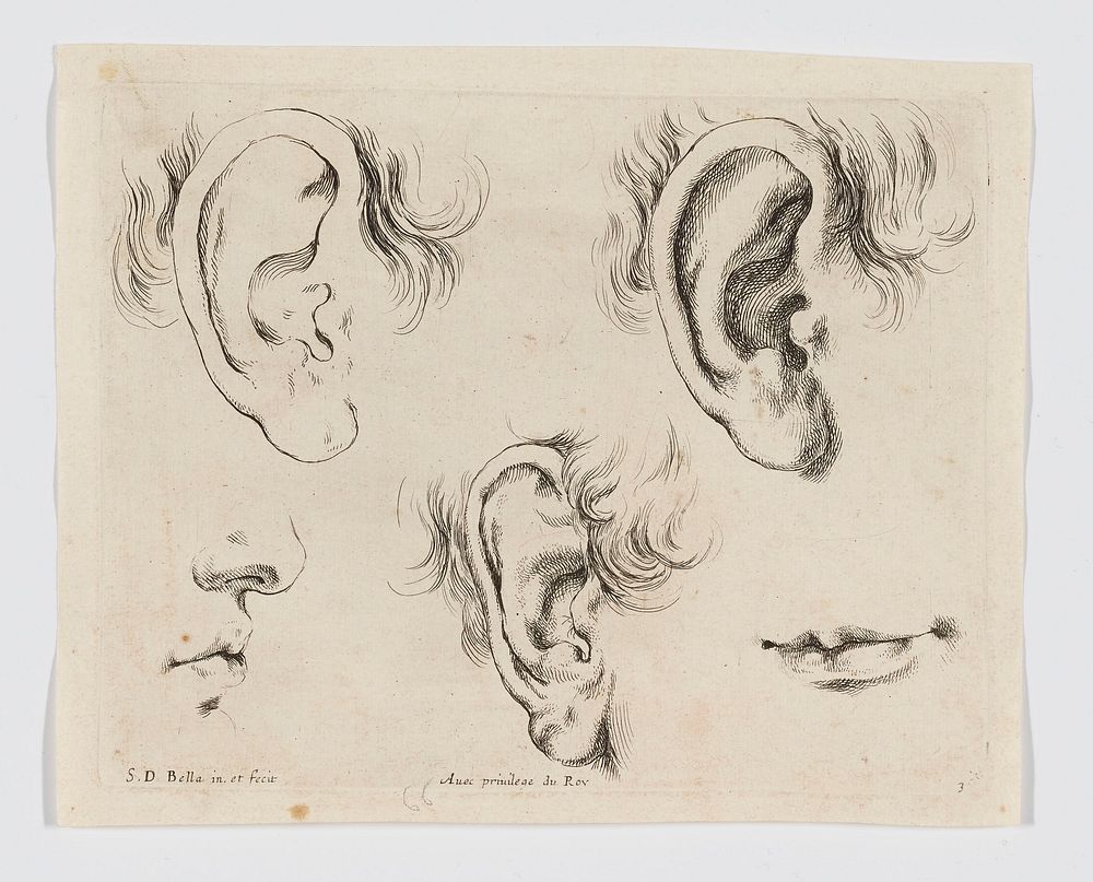 three right ears; mouth, LRC; nose and mouth, LLC. Original from the Minneapolis Institute of Art.