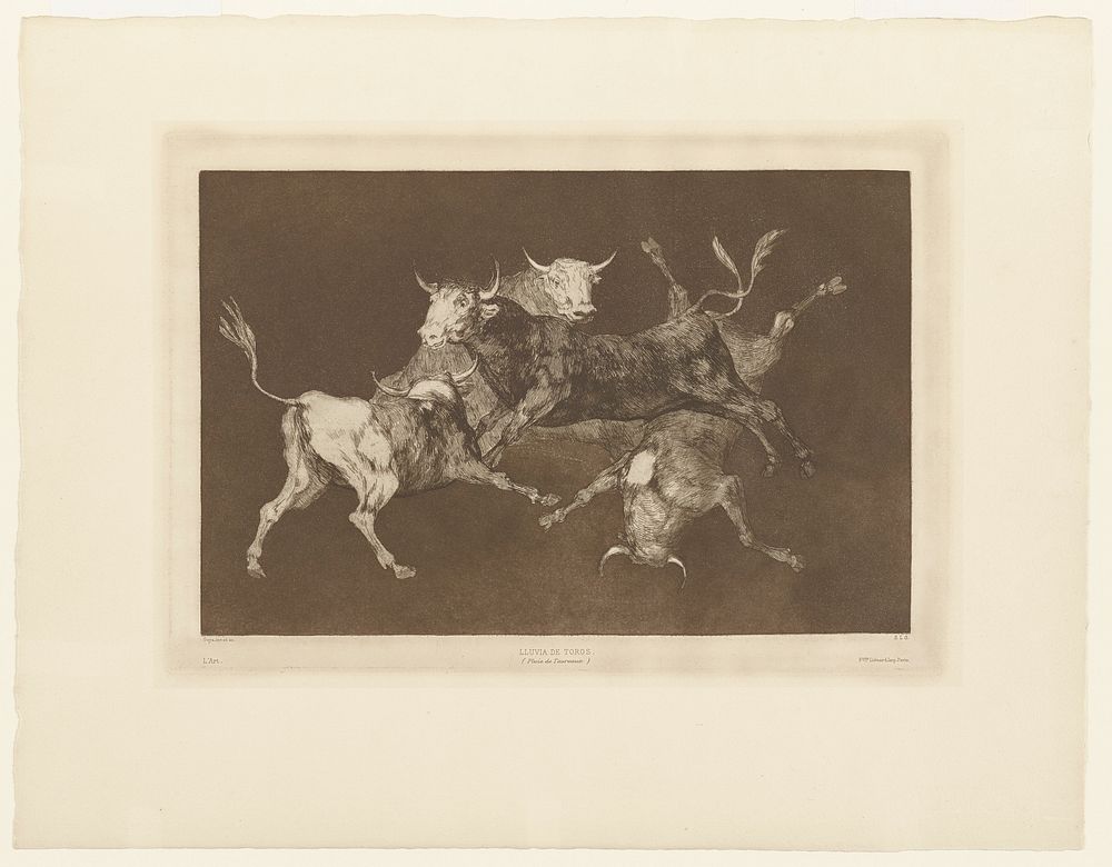 four bulls depicted in different positions, and overlapping; from L to R, from the back, seated, from the side and from the…