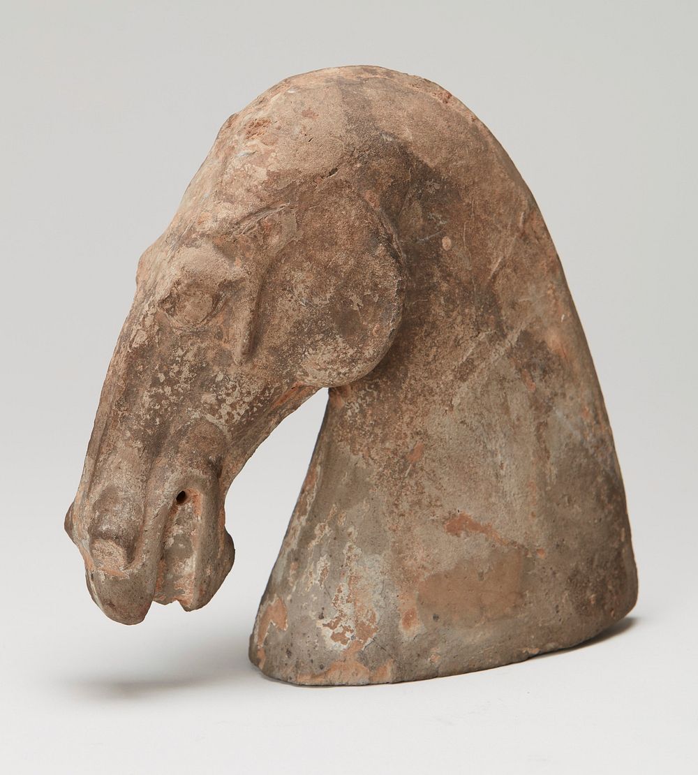Horse Head. Original from the Minneapolis Institute of Art.