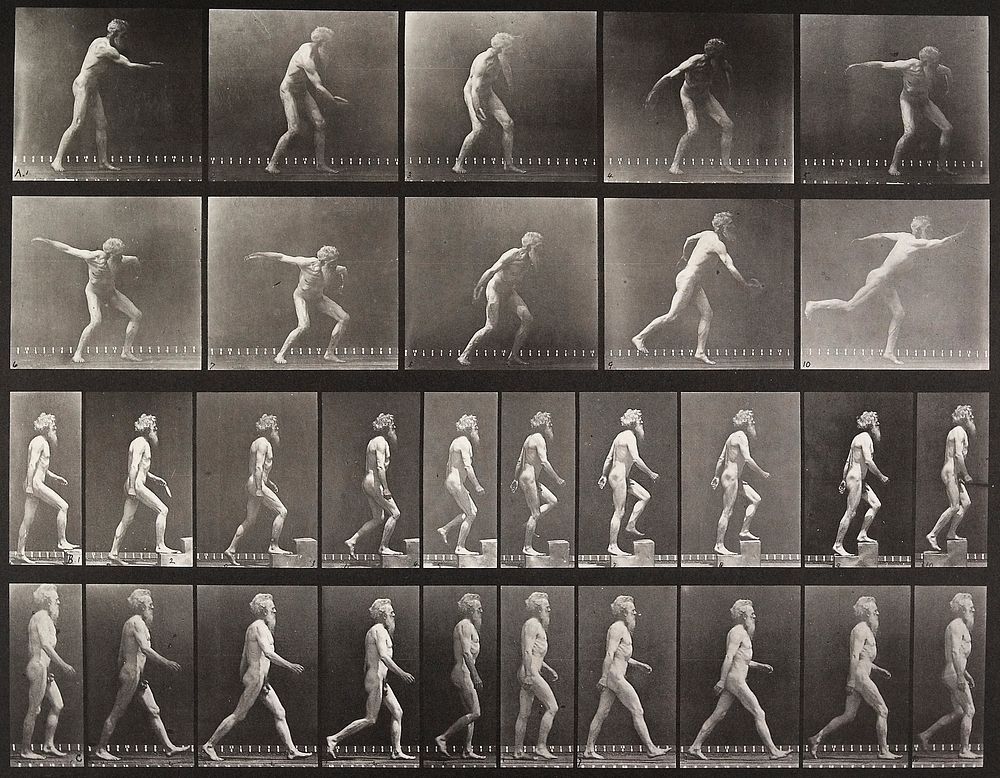 Throwing disk, ascending step, walking. From a portfolio of 83 collotypes, 1887, by Edweard Muybridge; part of 781 plates…