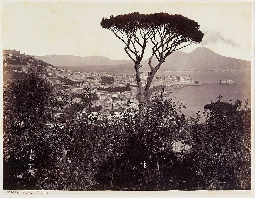Panorama, Napoli. Original from the Minneapolis Institute of Art.
