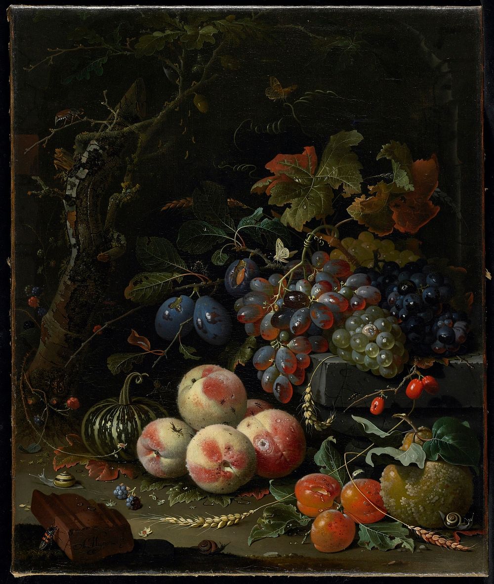 Dutch still life with fruit, foliage, and insects.. Original from the Minneapolis Institute of Art.