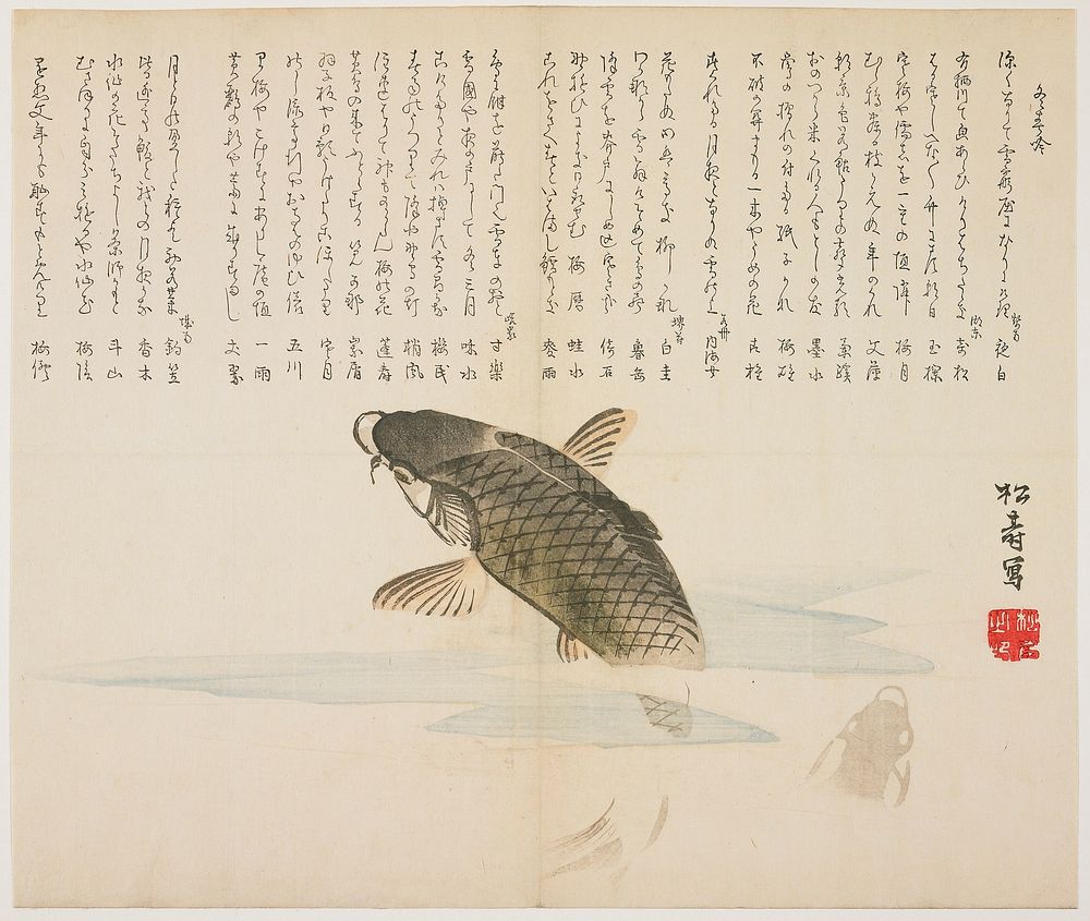 (Leaping carp). Original from the Minneapolis Institute of Art.