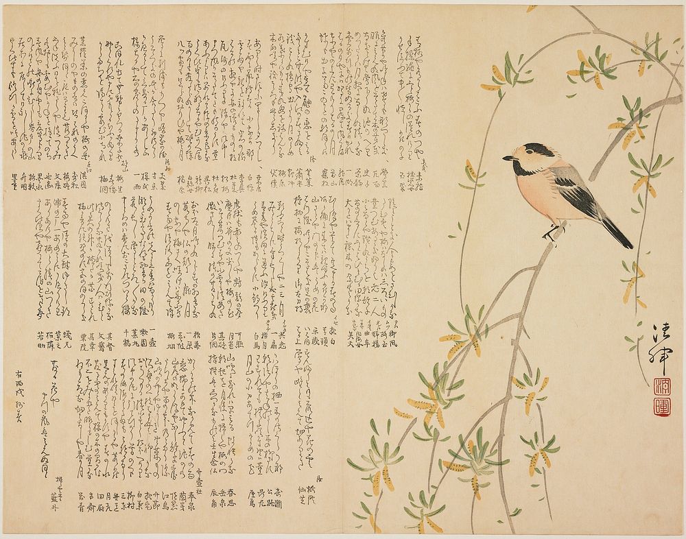 Chikadee on a Willow Branch. Original from the Minneapolis Institute of Art.