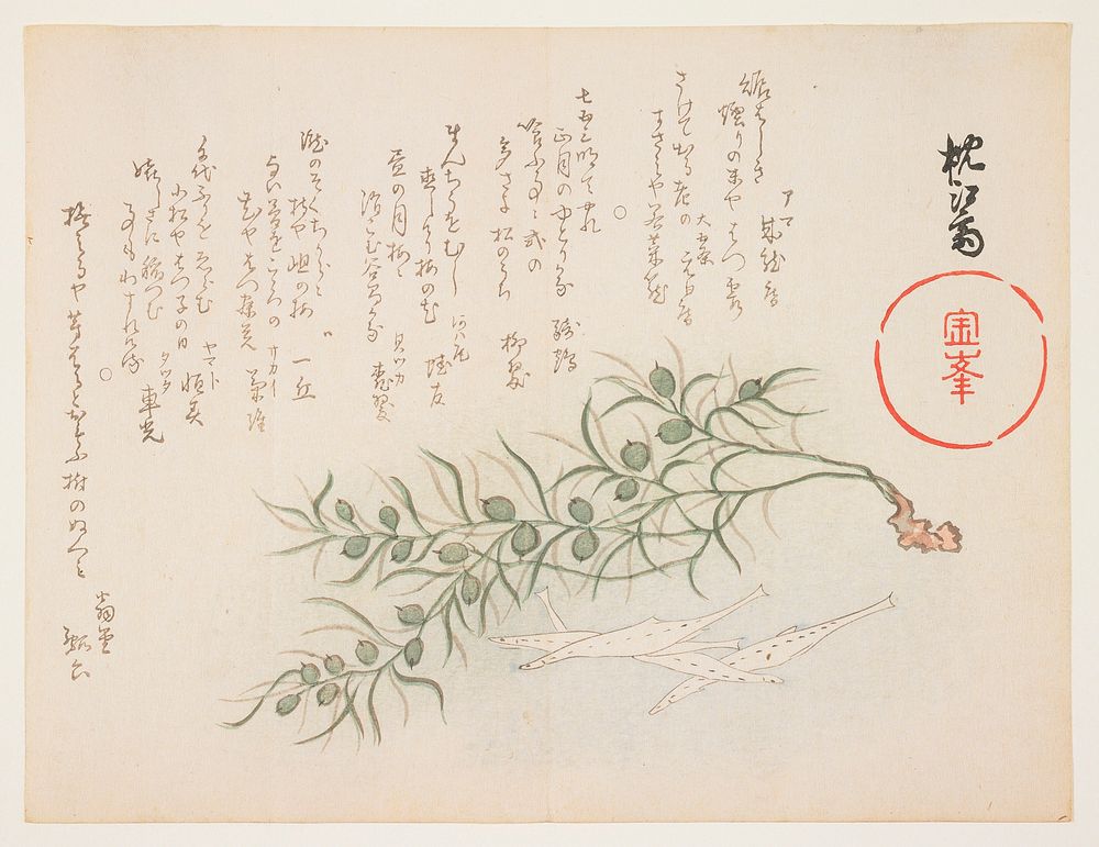 (Small white fish and water-weed). Original from the Minneapolis Institute of Art.