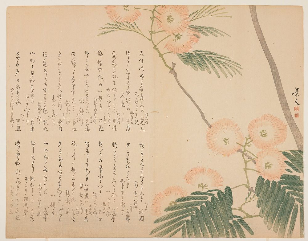 Flowering Silk Tree. Original from the Minneapolis Institute of Art.