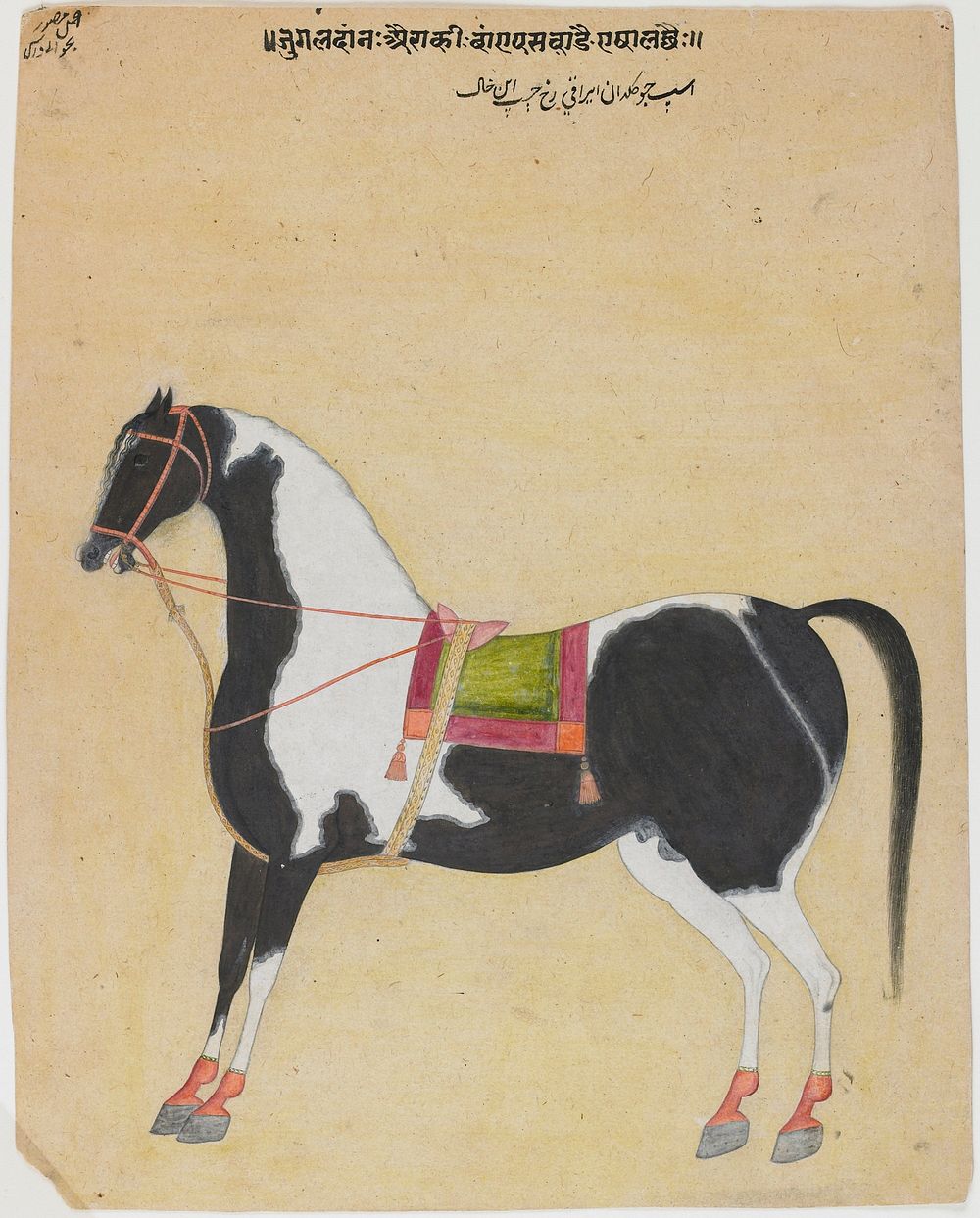 horse, facing left on a buff ground. Original from the Minneapolis Institute of Art.