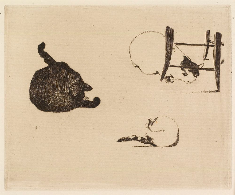 The Cats. Original from the Minneapolis Institute of Art.