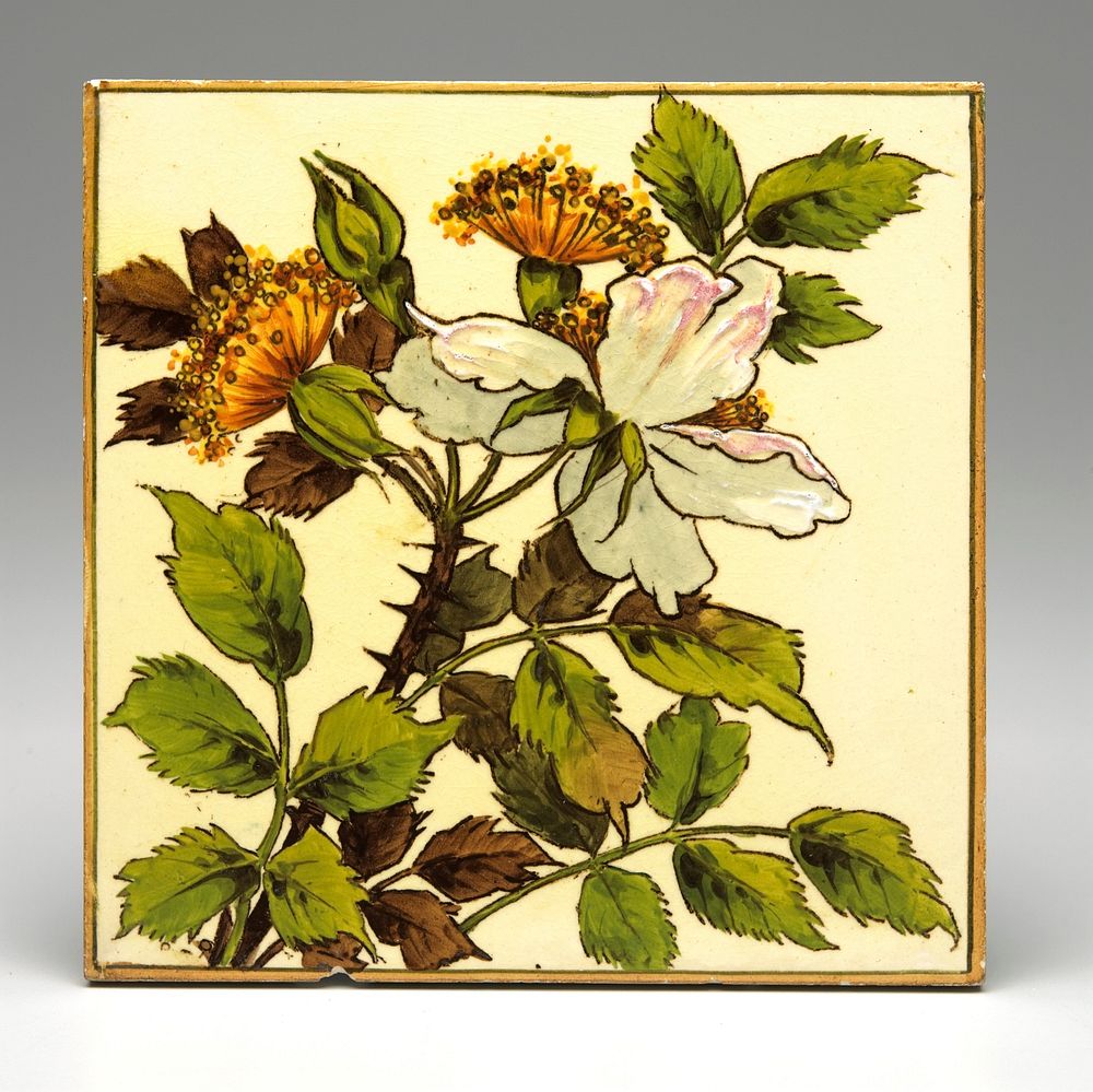 hand-painted; flowering stem over a cream ground; white flower, 2 yellow and brown buds. Original from the Minneapolis…