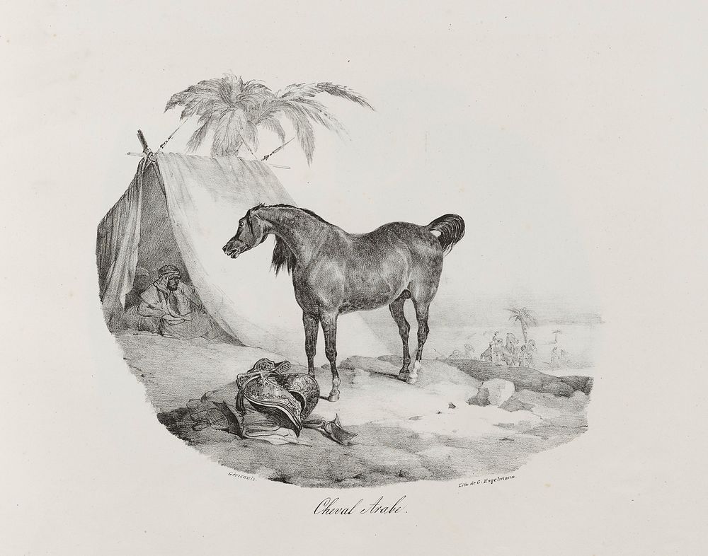 Album containing 39 lithographs by and after Géricault. Original from the Minneapolis Institute of Art.