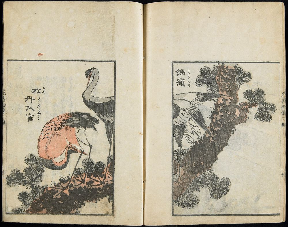 Pictures of Birds and Flowers vol. 2. Original from the Minneapolis Institute of Art.