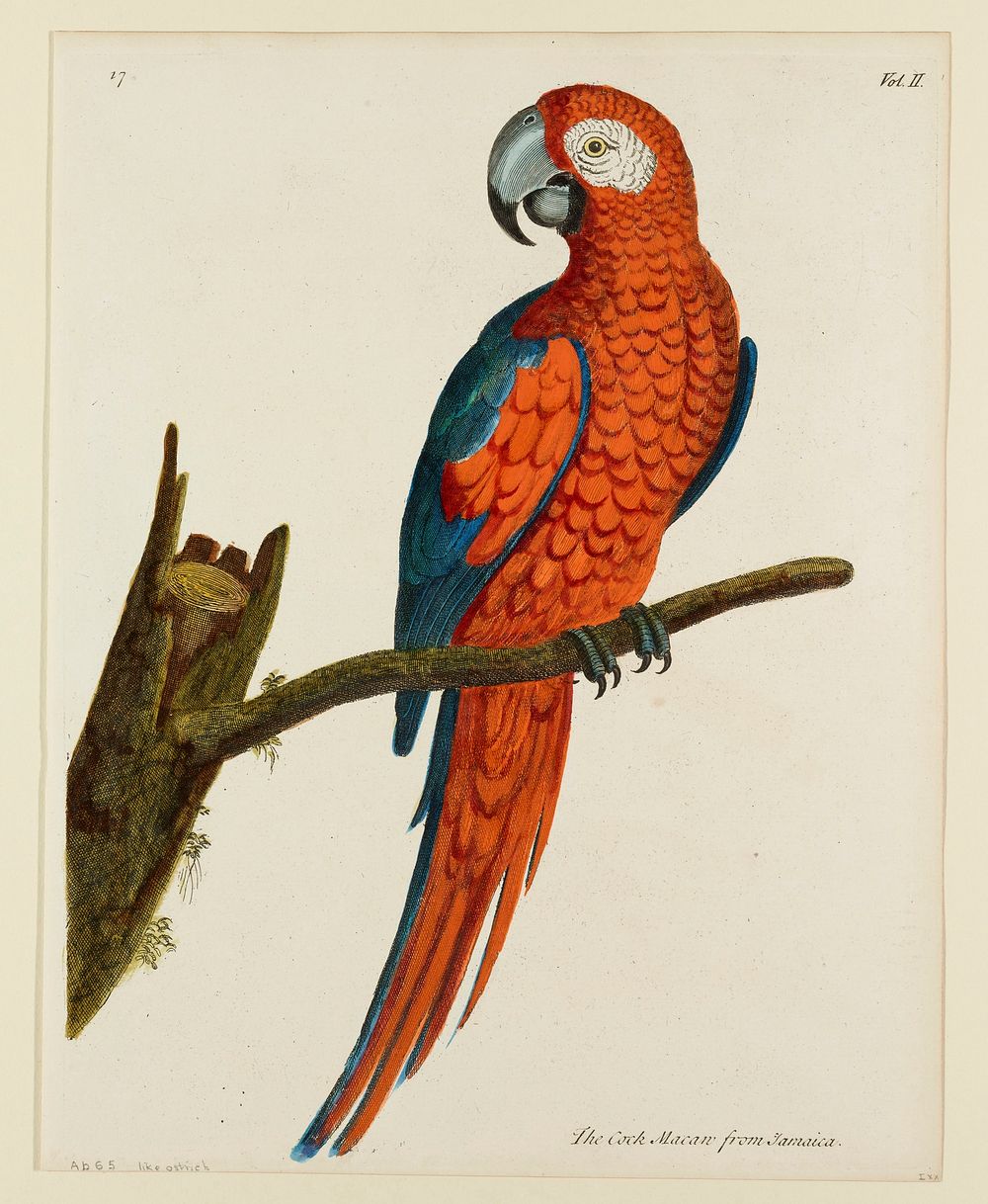 plate 17, vol. II. Original from the Minneapolis Institute of Art.