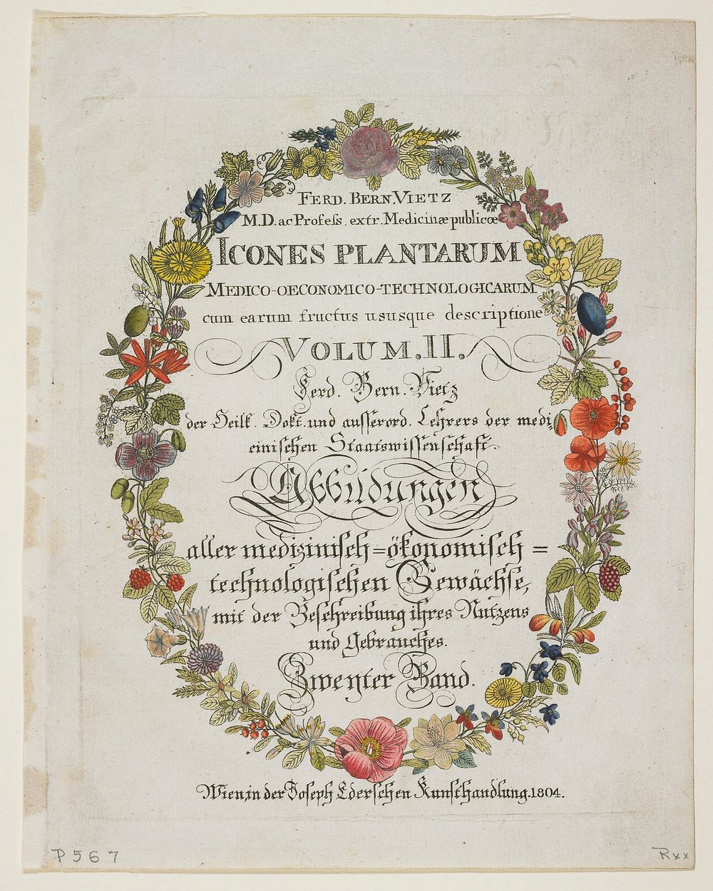 Frontispiece and Title Page. Vol. II from Icones Plantarum Medico-oeconomico-technologicarum. Original from the Minneapolis…