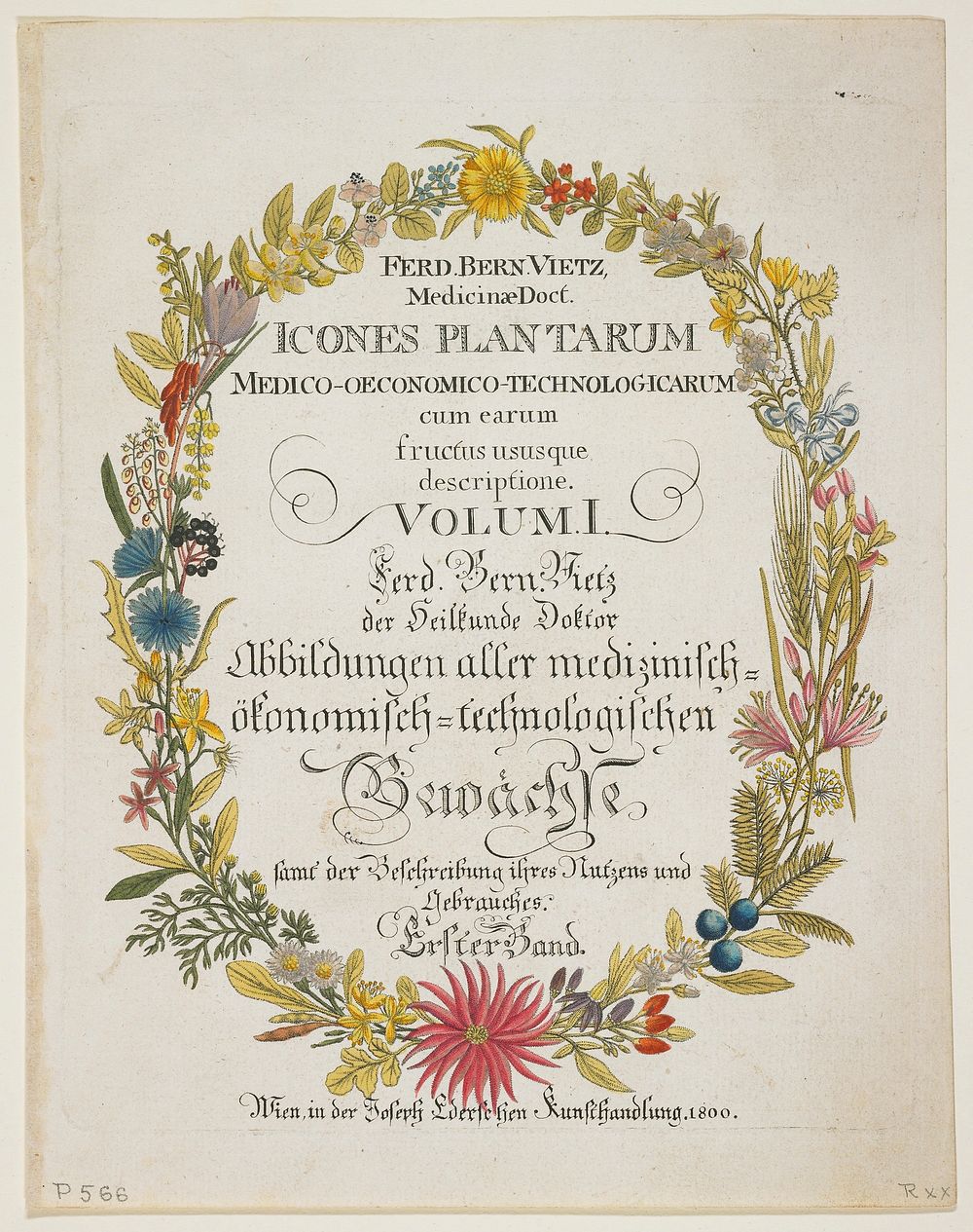 Frontispiece and Title Page. Vol. I, from Icones Plantarum Medico-oeconomico-technologicarum.... Original from the…