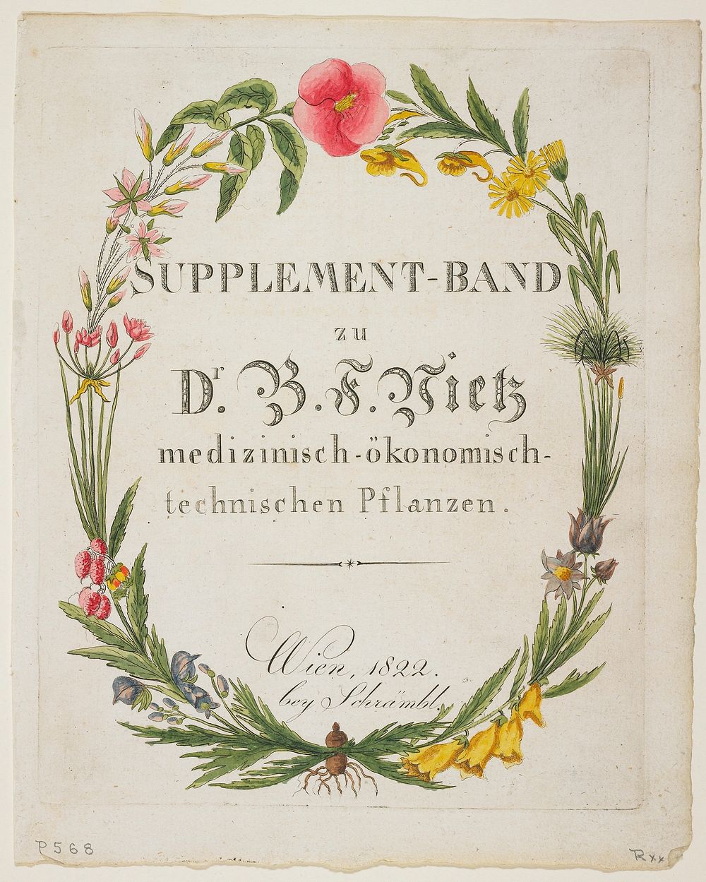Frontispiece and Title Page to Supplement-Band zu Dr. B. F. Vietz medizinisch-ökonomisch-technischen Pflanzen from Icones…