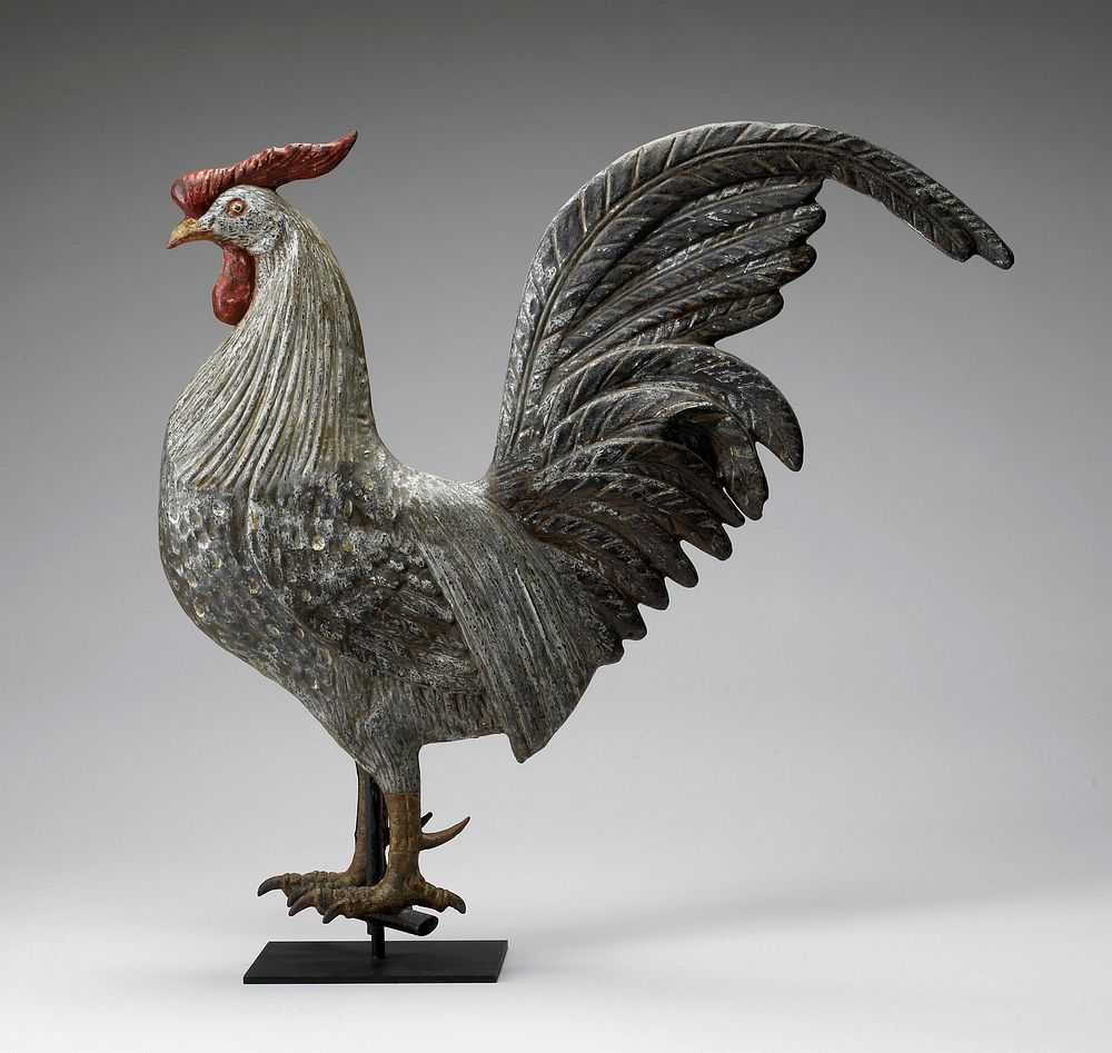 standing rooster with white body, yellow feet and beak, and red comb and wattle; very long tail feathers and comb; vertical…