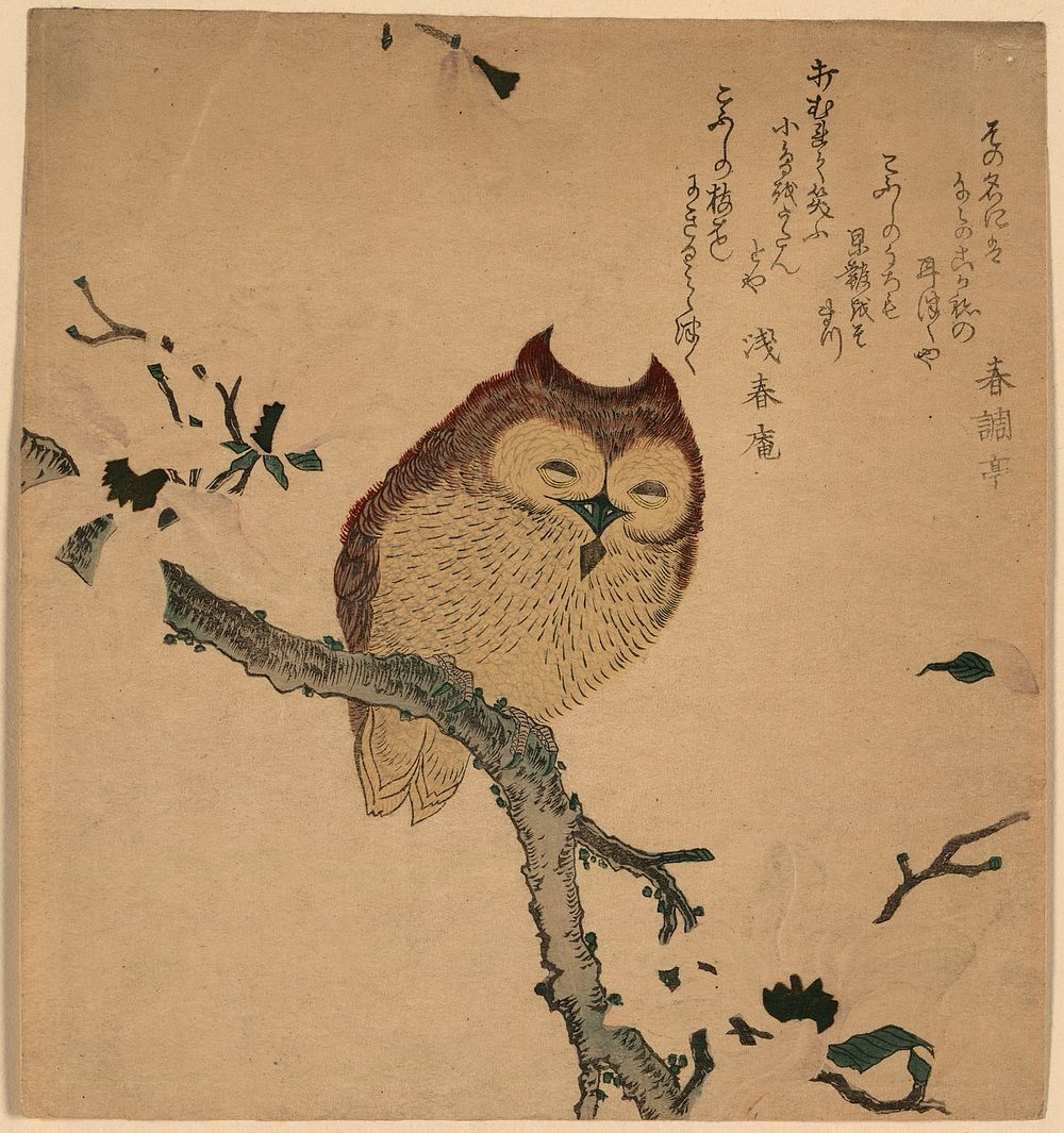 Kobushi ni mimizuku. Original from the Library of Congress.
