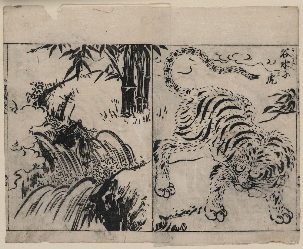 [Tiger near a cataract]. Original from the Library of Congress.