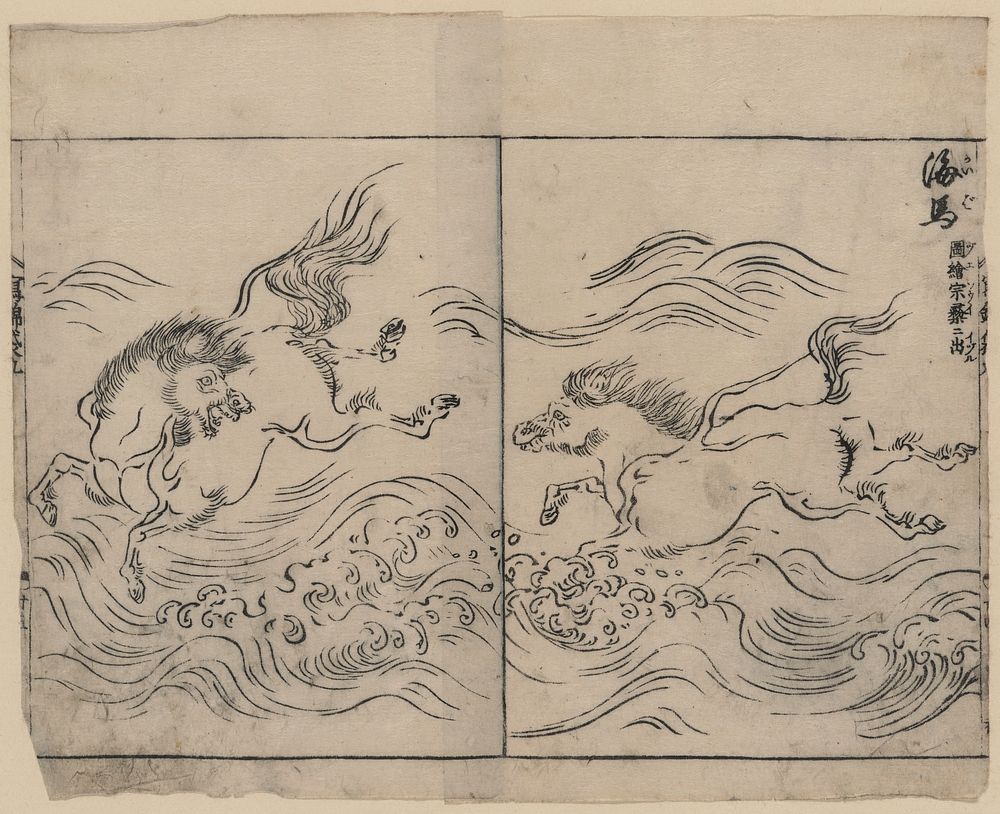 [Wild horses running in water, across a river or in surf]. Original from the Library of Congress.