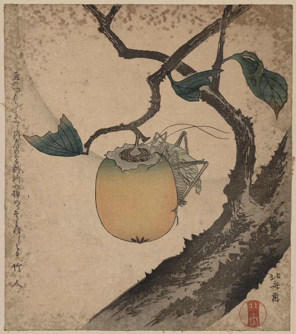 Kaki ni kirigirisu. Original from the Library of Congress.