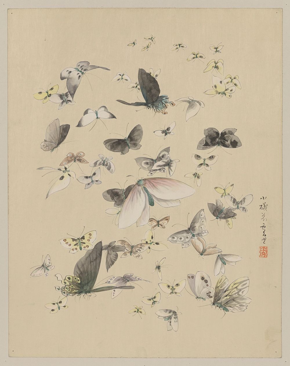 [Butterflies and moths]. Original from the Library of Congress.