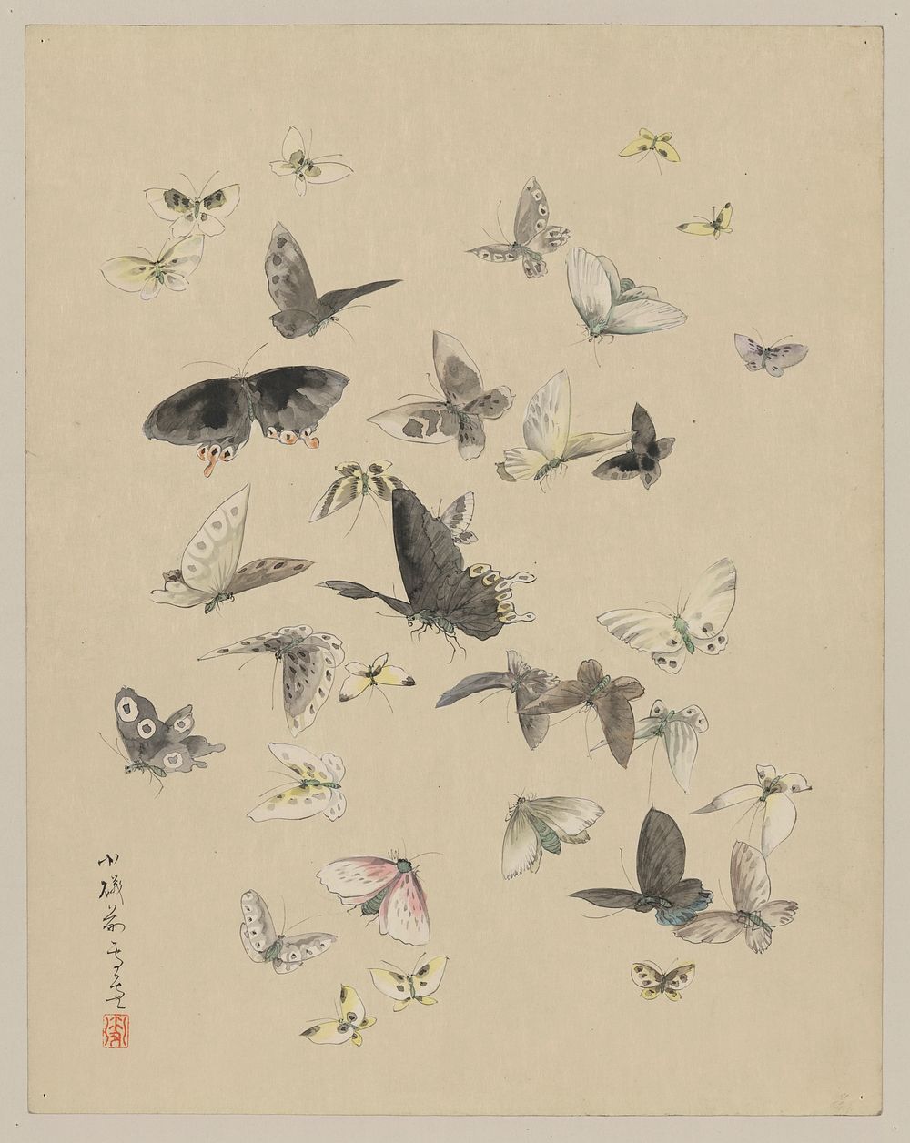 [Butterflies and moths]. Original from the Library of Congress.