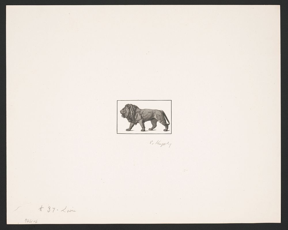 Lion by E. Kingsley. (1870) by Elbridge Kingsley