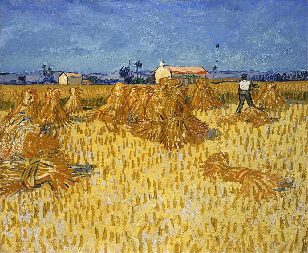 Vincent Van Gogh - Corn Harvest in Provence - Google Art Project