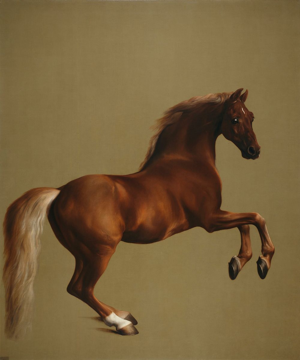 Whistlejacket is an oil-on-canvas painting from about 1762 showing the Marquess of Rockingham's racehorse, rearing up…