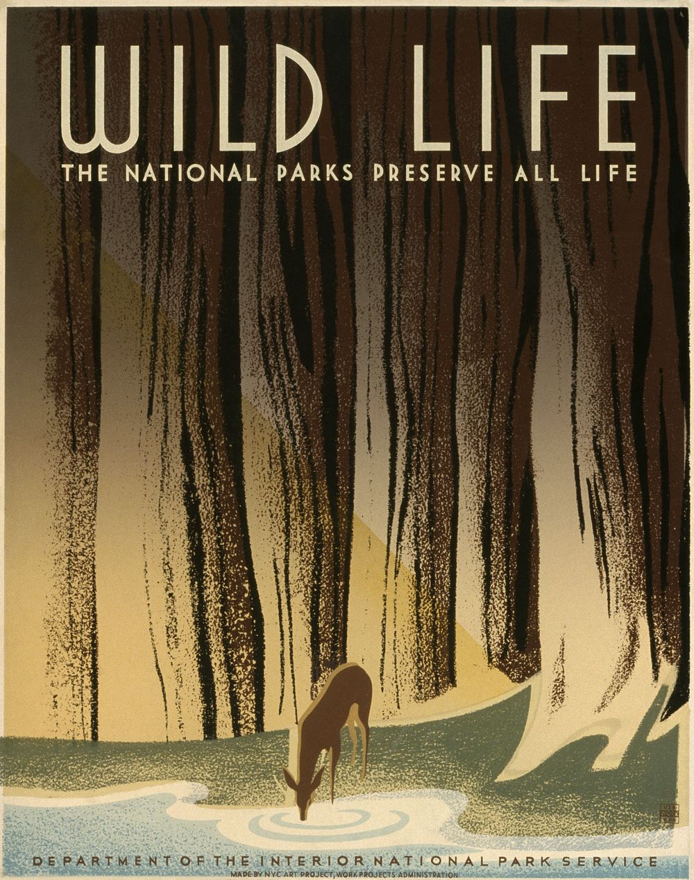 "Wild life The national parks preserve all life." Poster for United States National Park Service, showing a deer drinking…