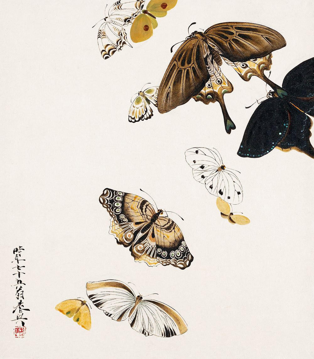Lacquer paintings of various subjects: Butterflies (1881) by Shibata Zeshin. Original from the MET Museum. Digitally…