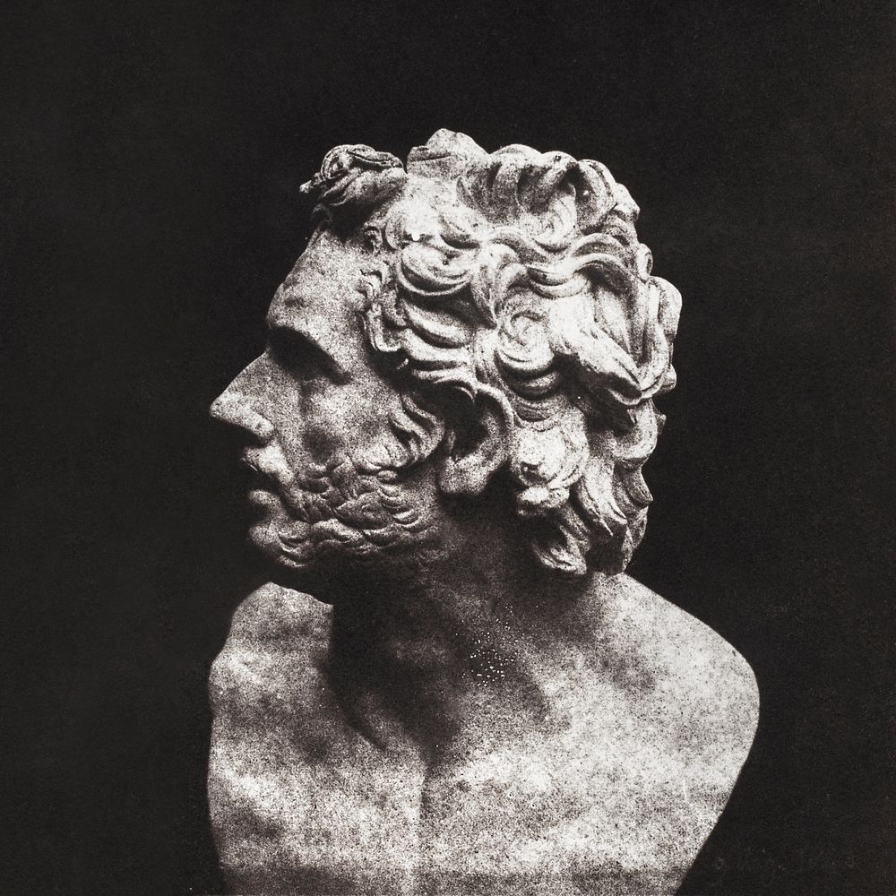 Bust of Patroclus (1843) photography in high resolution by William Henry Fox Talbot. Original from the Yale University Art…