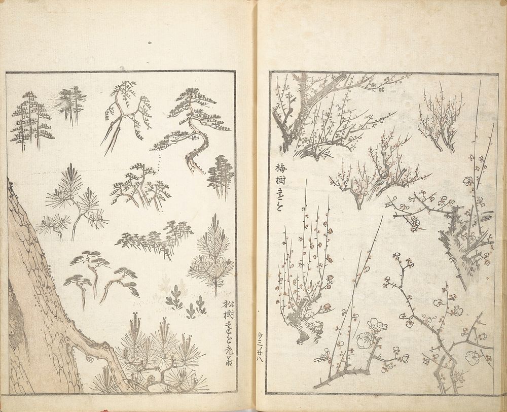 Picture Album of the Floating World (ca. 1820s) print in high resolution by Keisai Eisen. Original from The MET Museum. 