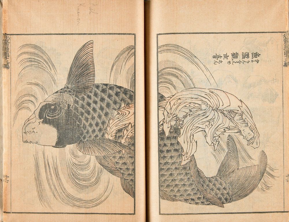 Transmitting the Spirit and Revealing the Form of Things: Hokusai's Sketchbooks (1849) in high resolution by Katsushika…