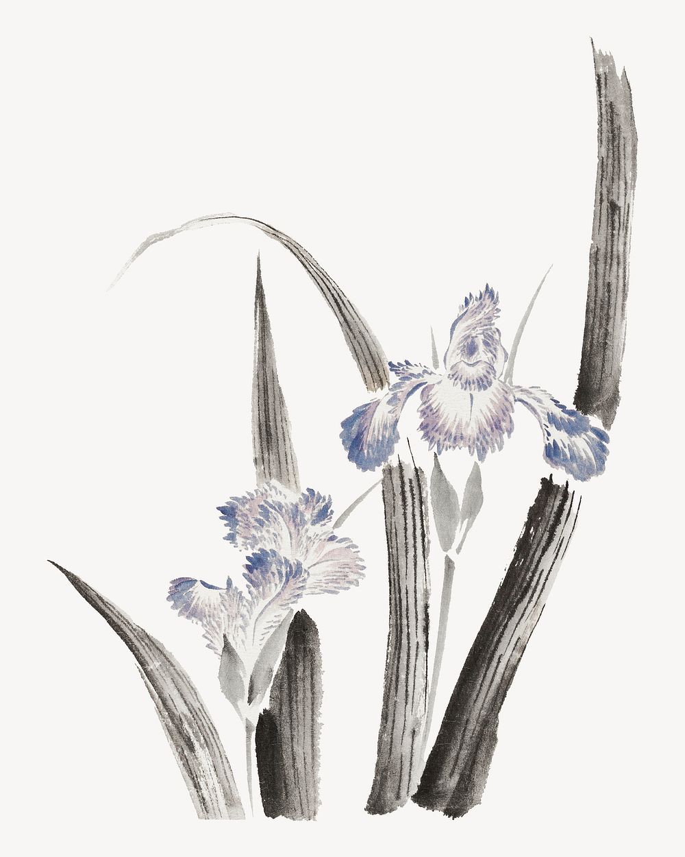 Hokusai’s Japanese iris flower psd .  Remastered by rawpixel. 