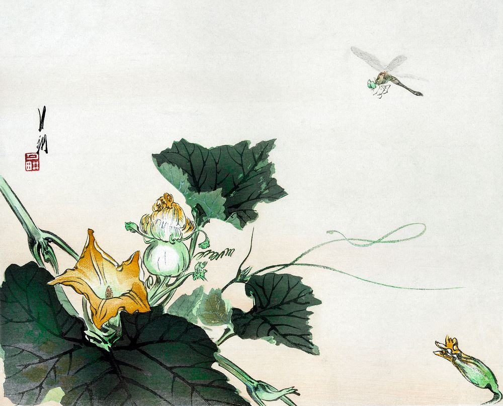 Dragonfly above a pumpkin blossom (1890-1920) vintage Ukiyo-e style by Ogata Gekkō. Original public domain image from the…