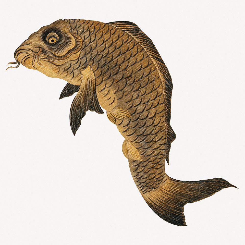 Shorakusai's Japanese fish illustration psd.  Remastered by rawpixel. 