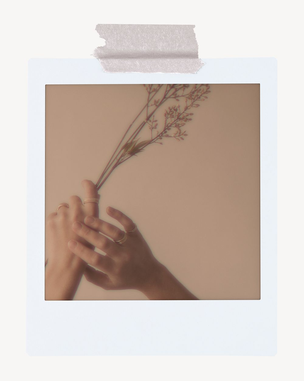 Aesthetic hands holding flower, instant photo frame