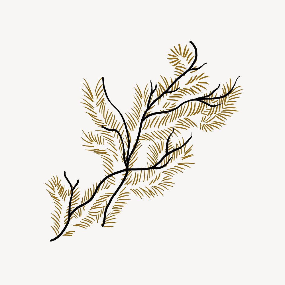 Leaf branch, botanical illustration psd