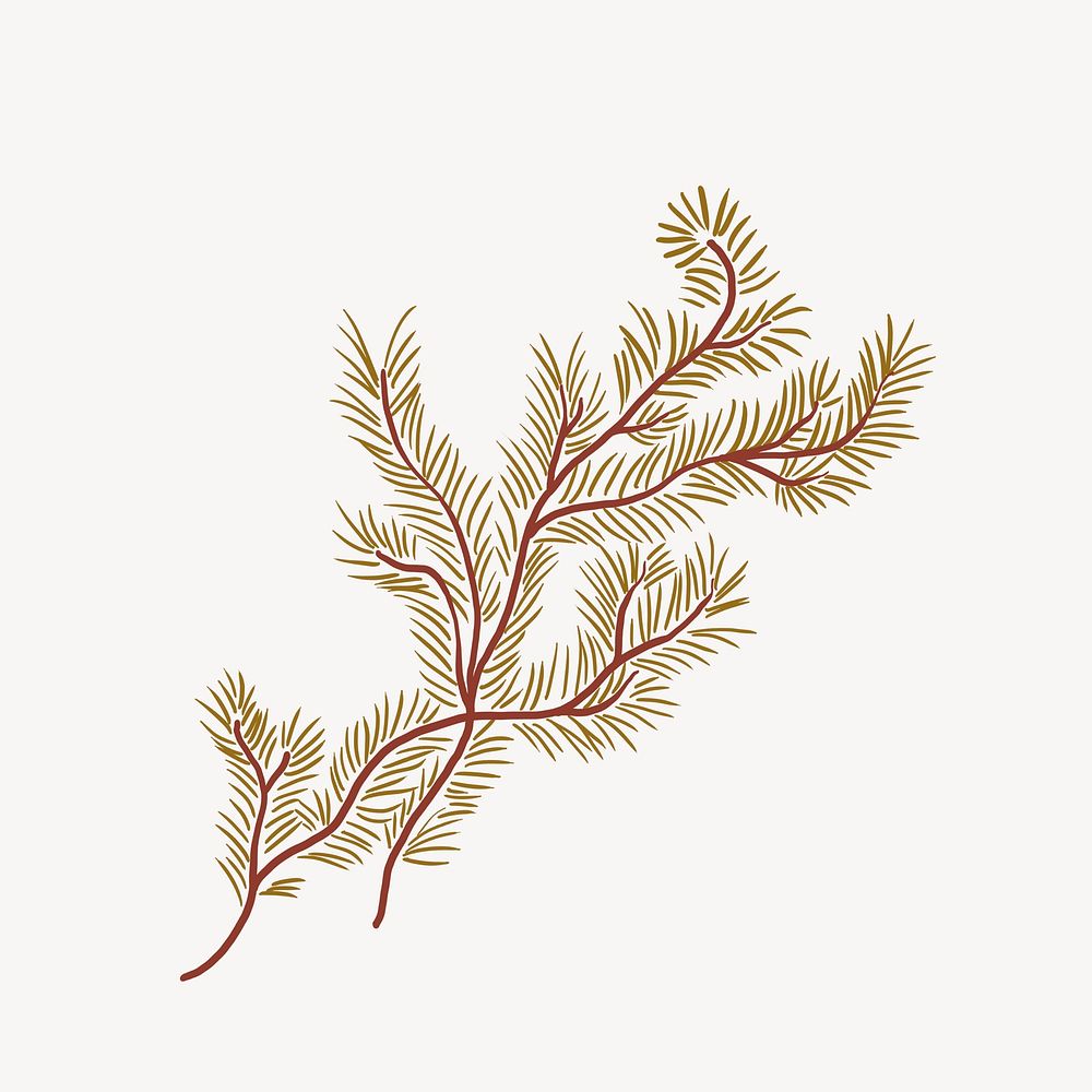 Leaf branch, botanical illustration psd
