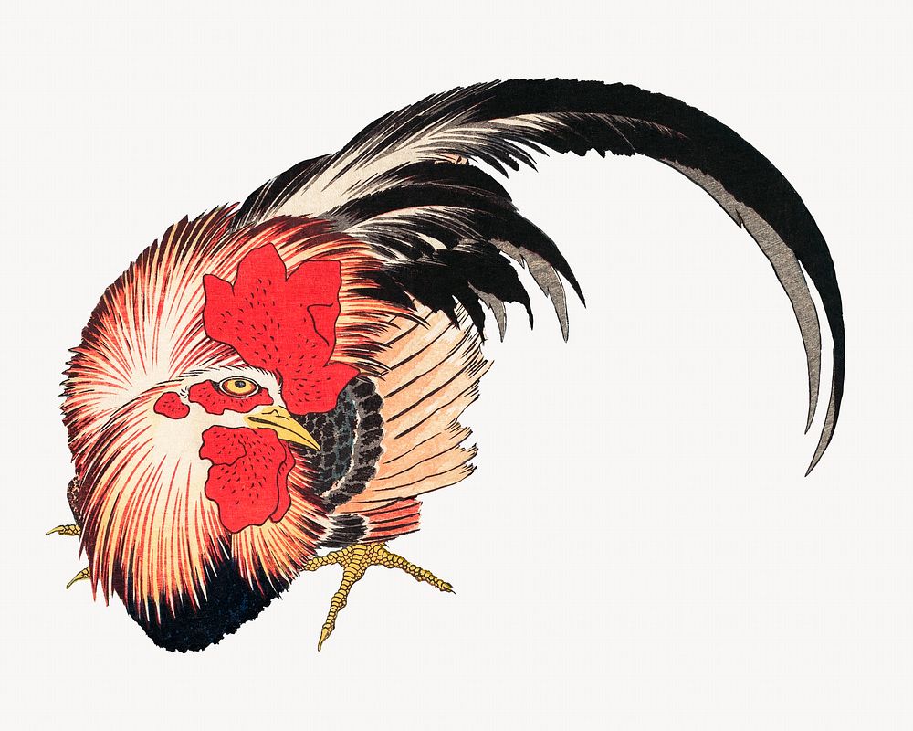 Hokusai's Chicken with Spiderwort. Original Premium Photo