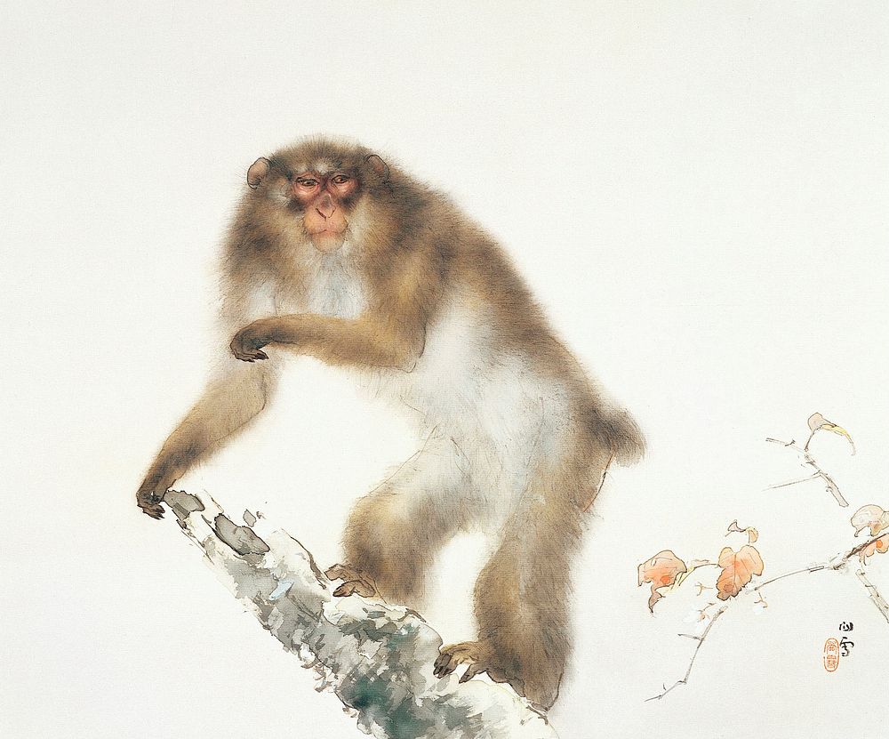 Japanese monkey (1820-1898) vintage painting by Kansetsu Hashimoto. Original public domain image from Wikipedia.   Digitally…