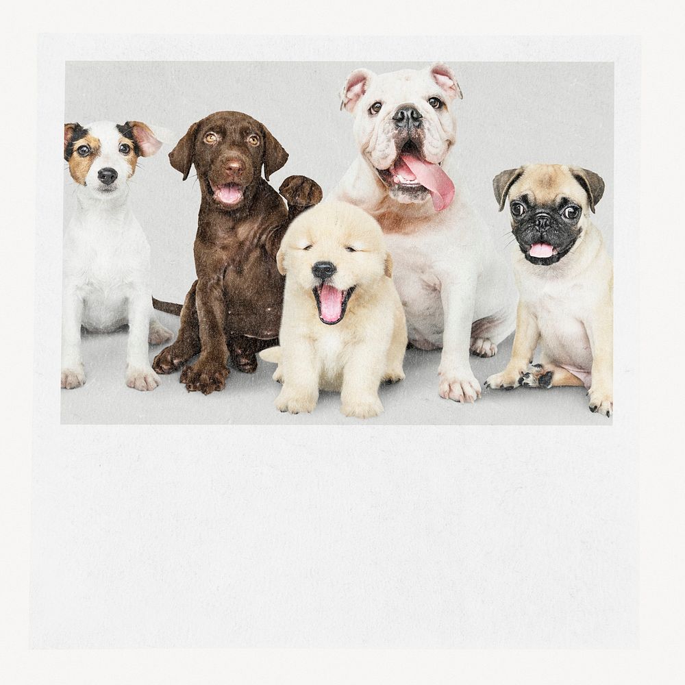Cute dogs paper mockup, editable design psd