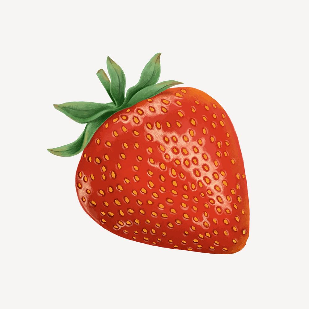 Strawberry, organic healthy fruit illustration vector