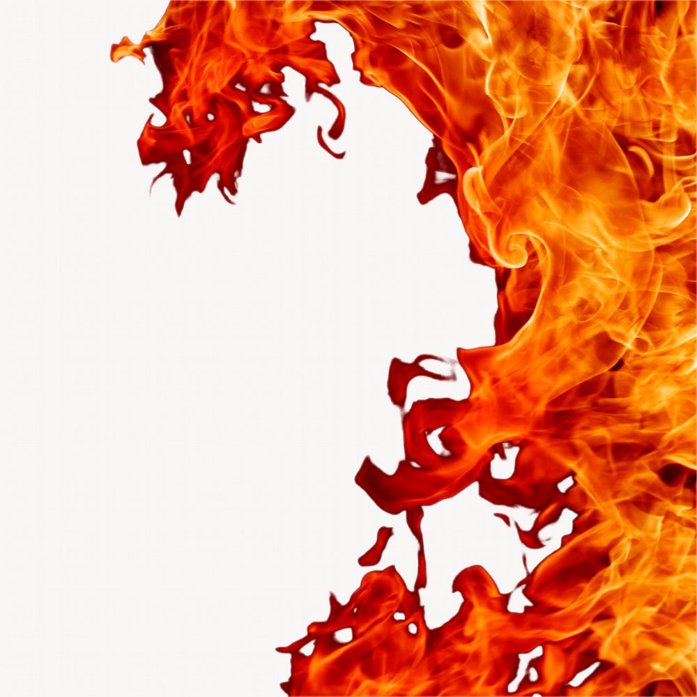 Burning flame on white background
