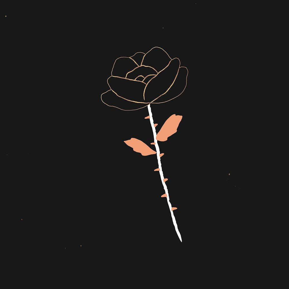 Rose flower symbol magic witchcraft illustration hand drawn