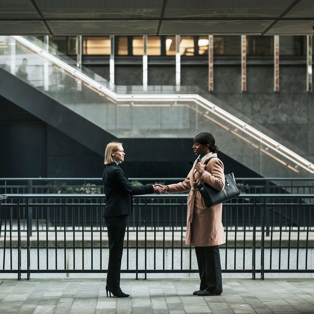 Businesswomen shaking hands, business networking 