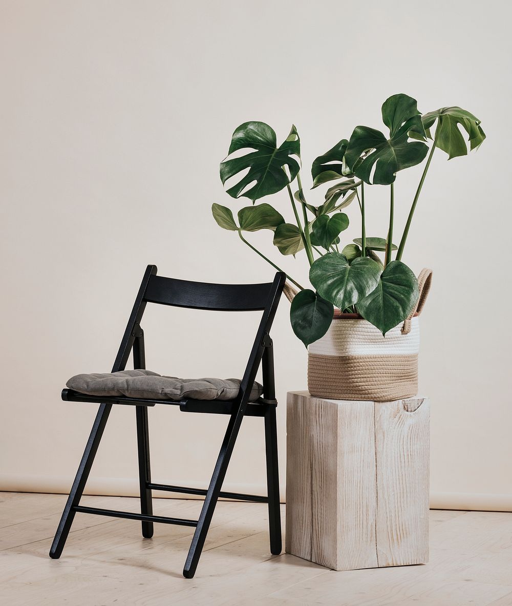 Aesthetic interior decoration, chair & houseplant photo